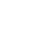 Insights